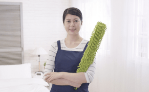 Domestic Worker Visa